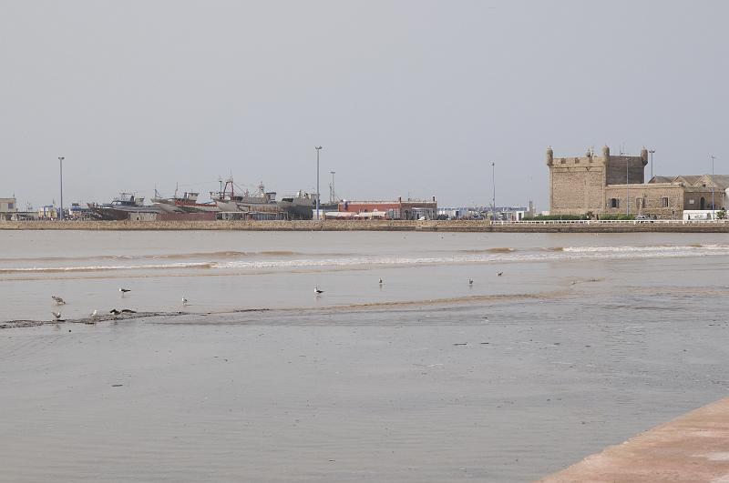 _0109.jpg - Essaouira, anciennement Mogador. Pittoresque port de pêche, touristique...